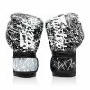 Boxing Gloves Fairtex BGV14 Korean Art
