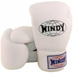 Windy Boxing Gloves