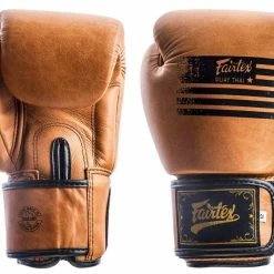Boxing Gloves Fairtex BGV21 Legacy