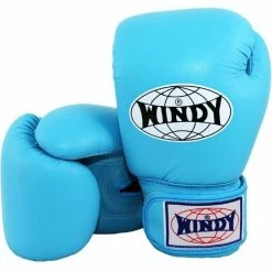 Windy Boxing Gloves