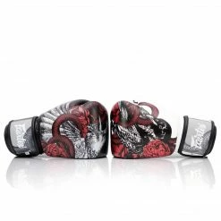 Boxing Gloves Fairtex BGV24