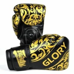 Fairtex Glory Boxing Gloves BGV2 (BLK)