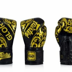 Fairtex Glory Boxing Gloves BGV2 (BLK)